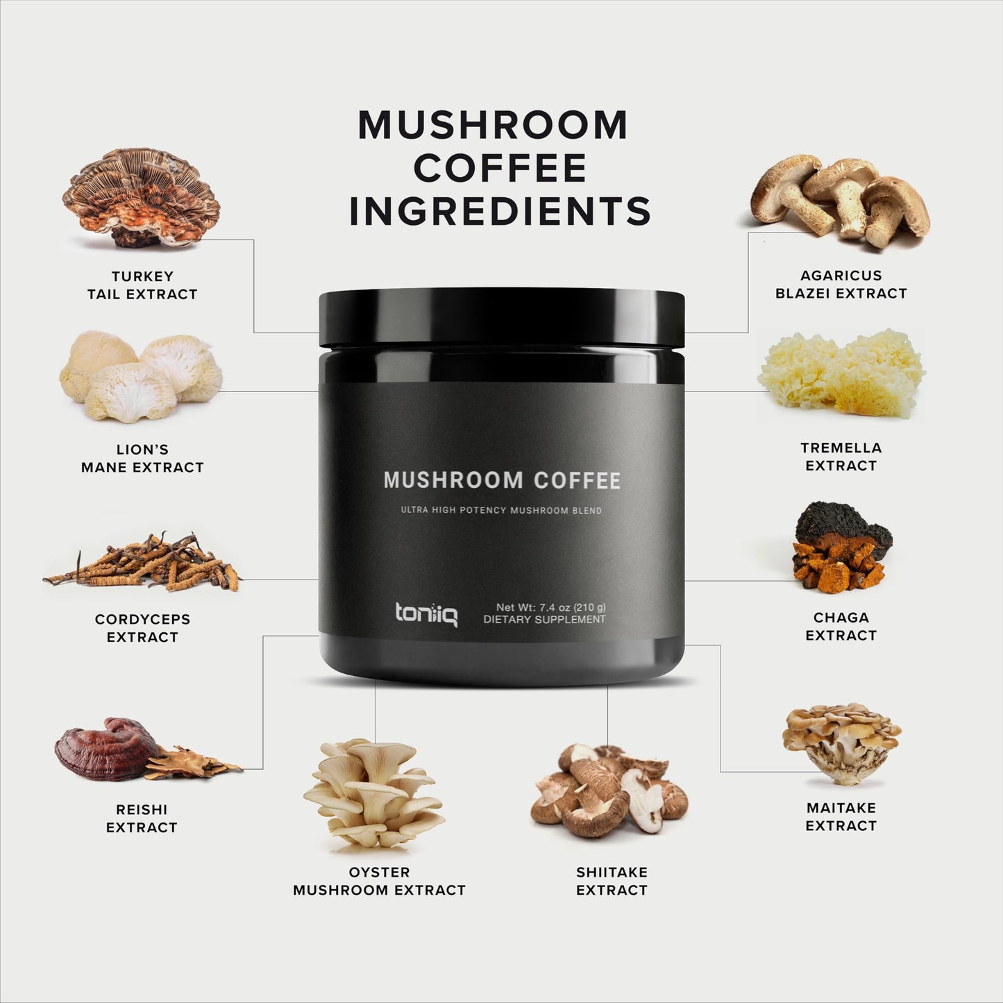 Mushroom Coffee 10:1 Extract | Colombian Beans, Lion's Mane & Cordyceps | Lab Tested