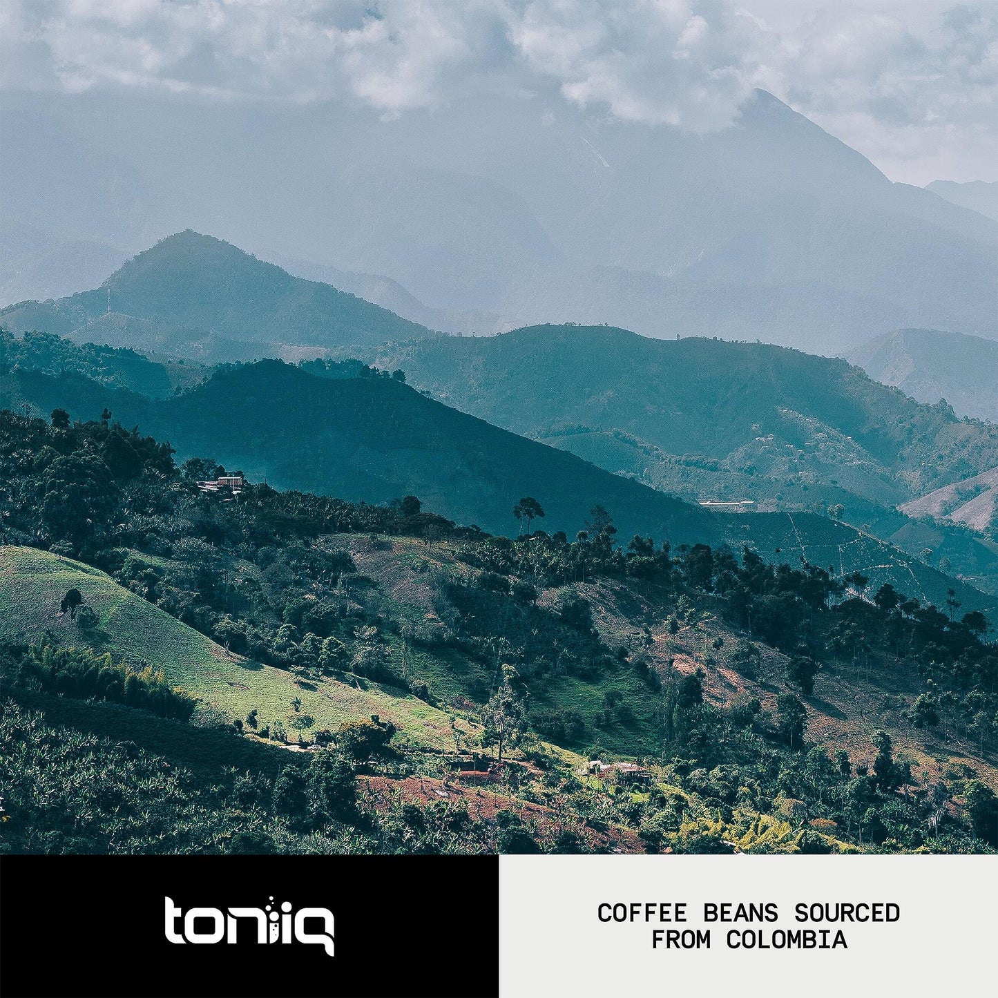 Mushroom Coffee 10:1 Extract | Colombian Beans, Lion's Mane & Cordyceps | Lab Tested