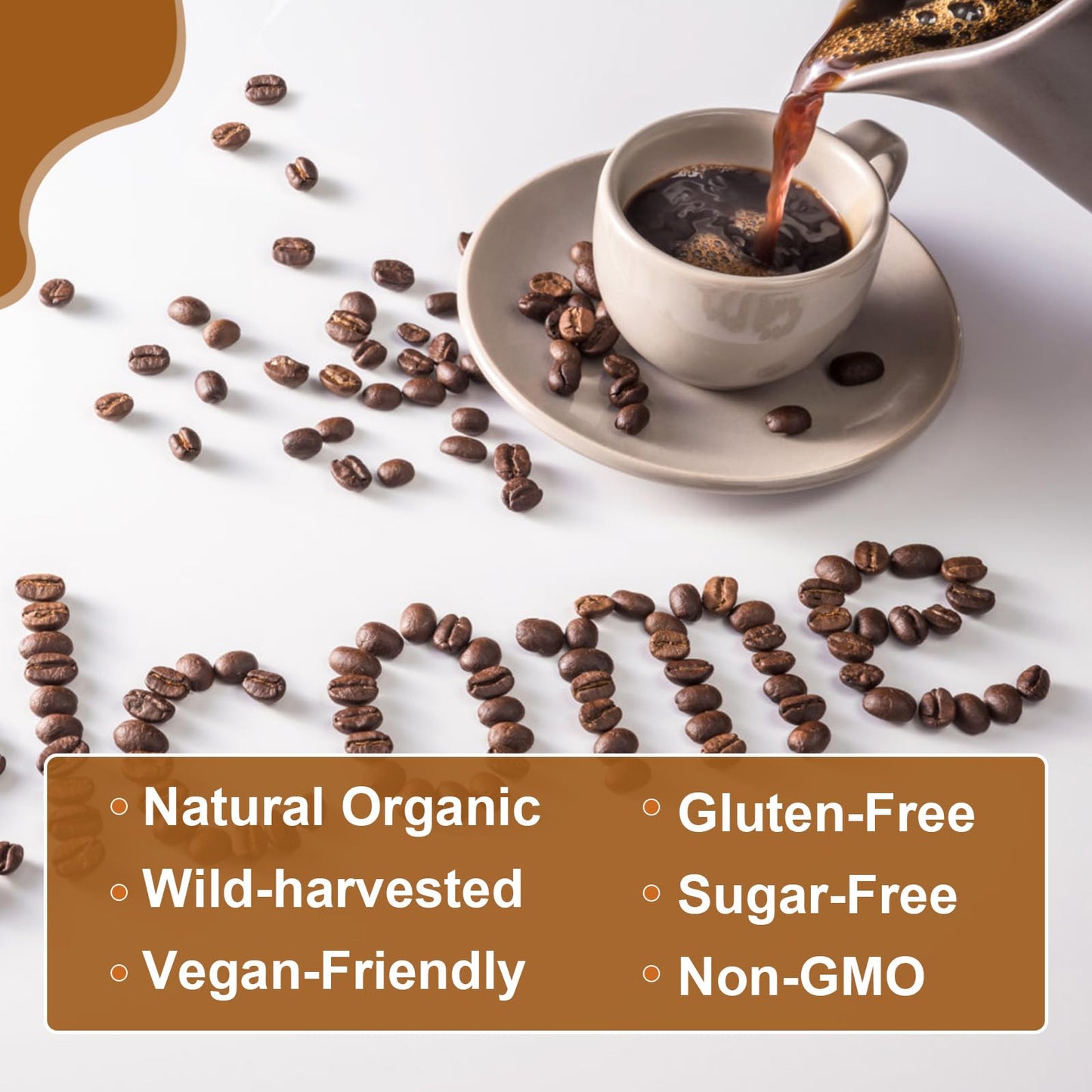 Mushroom Coffee with Lions Mane & Cordyceps – Energy & Focus