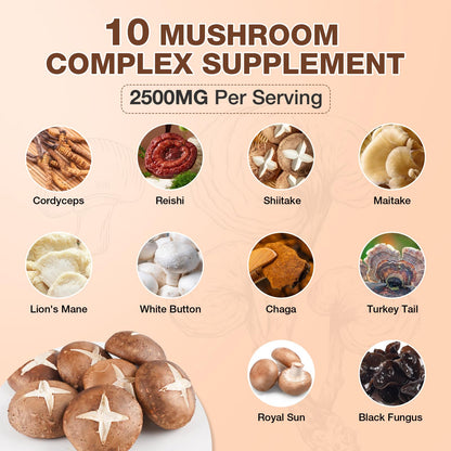 Mushroom Gummies - 10-Mushroom Complex for Adults (2 Pack) | Brain & Immunity Support