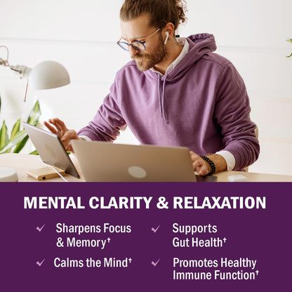 Mushroom Gummies for Adults – 10-in-1 Mood & Focus (60 Count) – Lions Mane & Turkey Tail
