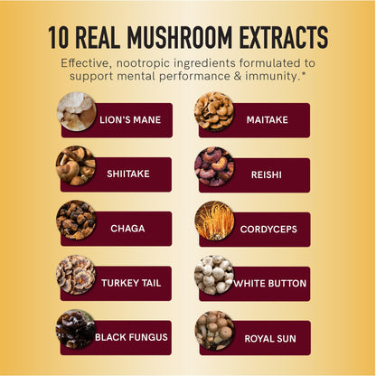 Mushroom Gummies for Adults | Nootropic Mushroom Supplement with Lions Mane, Turkey Tail, Reishi, Cordyceps, Chaga & Maitake | Raspberry Flavor | 60ct