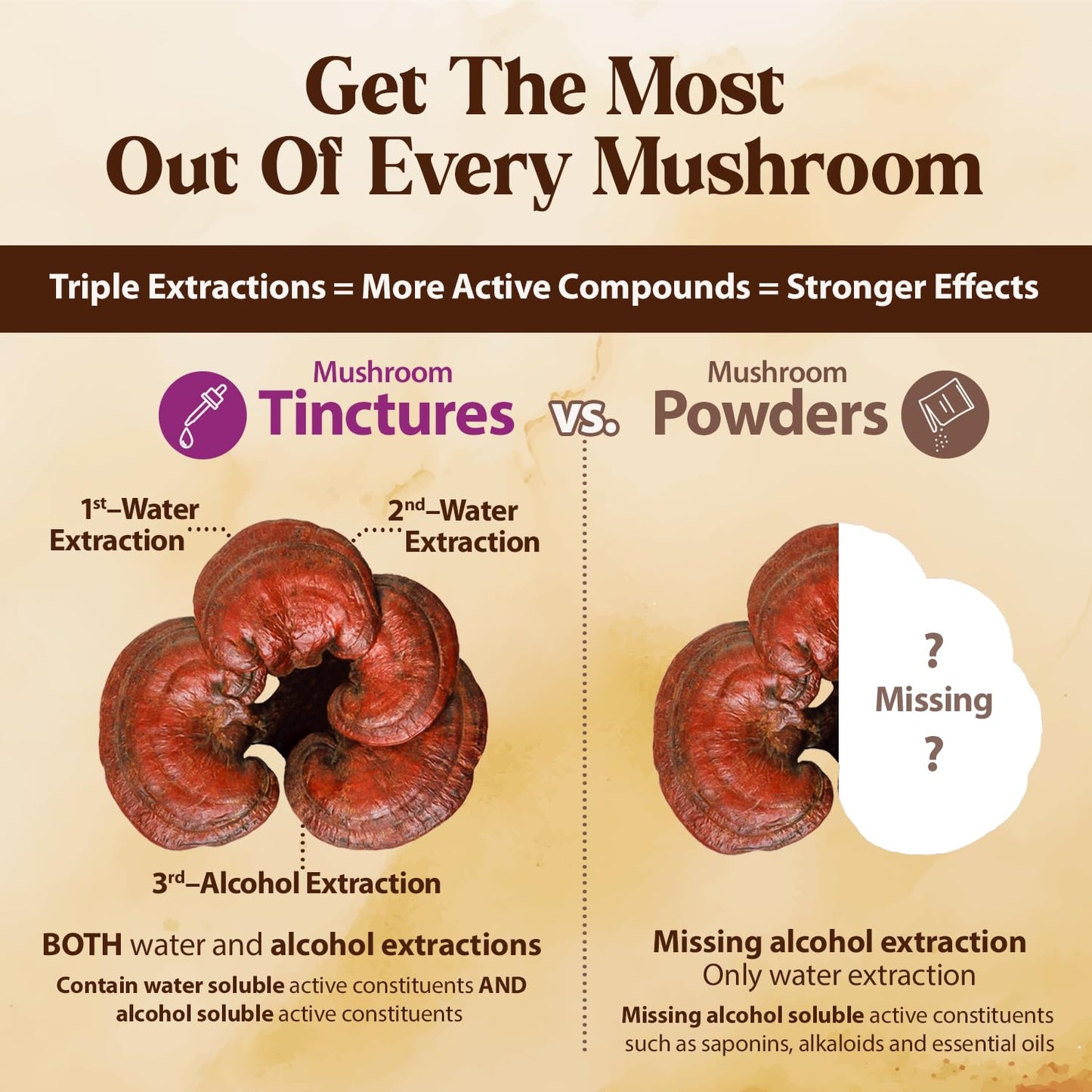 Dragon Herbs Duanwood Reishi Drops – Organic Mountain Grown Mushroom Tincture