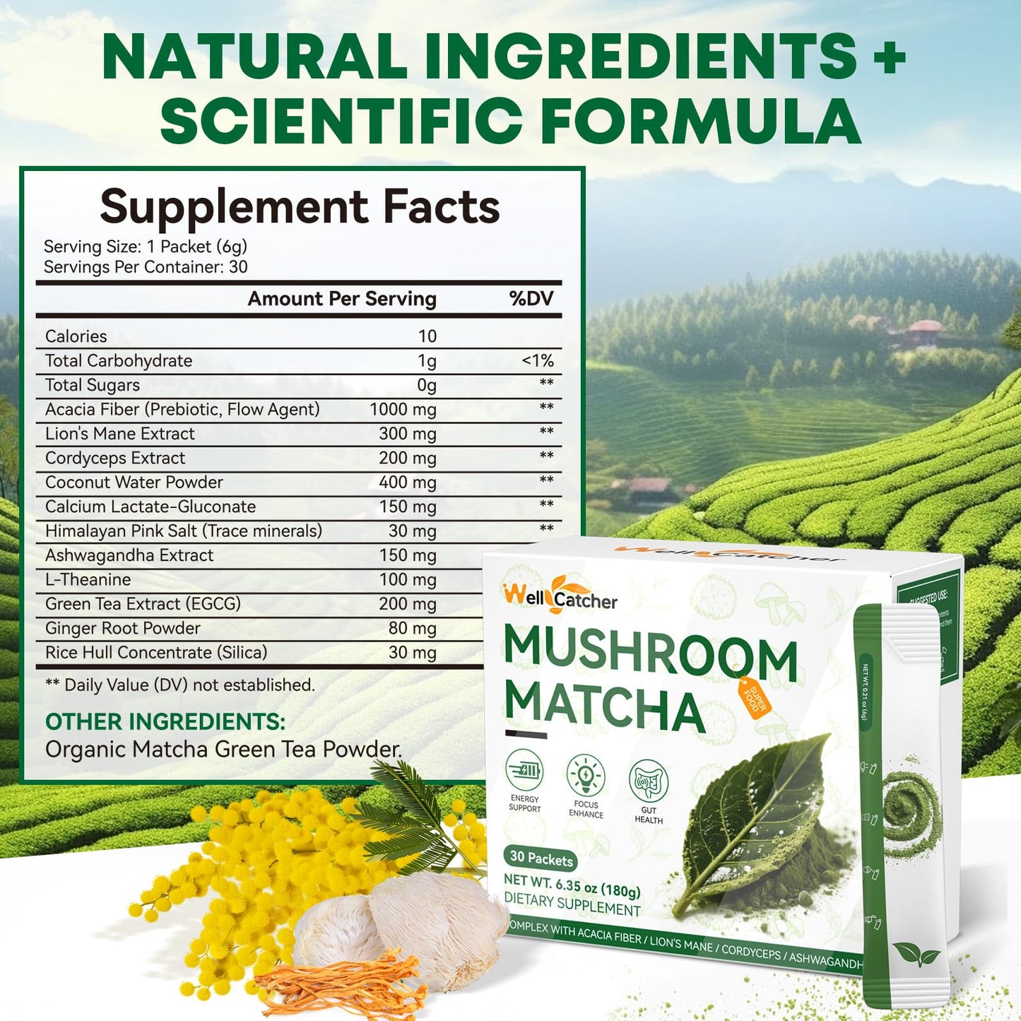 Mushroom Matcha Powder – Organic Ceremonial Grade with Lion’s Mane & Cordyceps