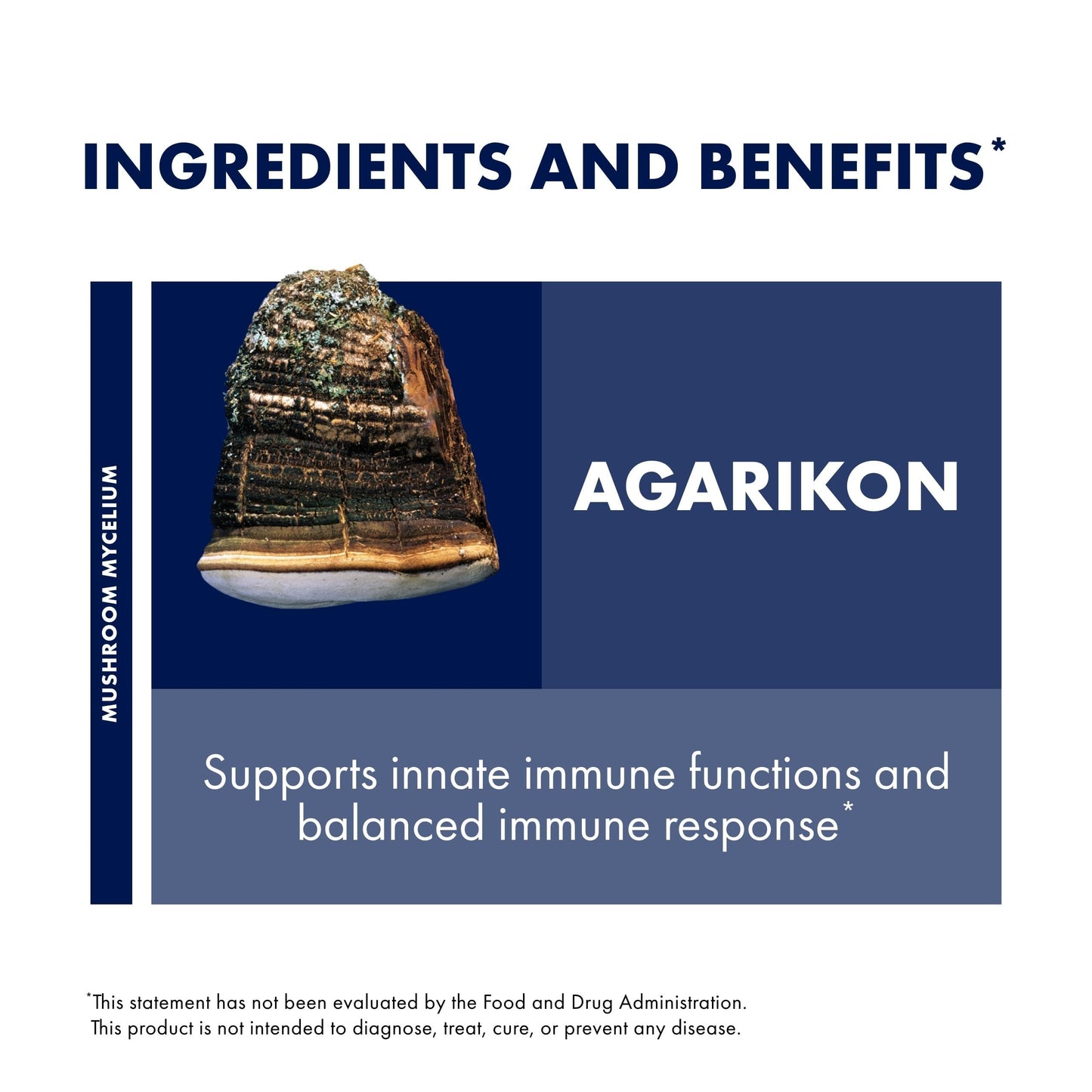 Host Defense Agarikon Capsules – Immune System Support Mushroom Supplement (60 Capsules)