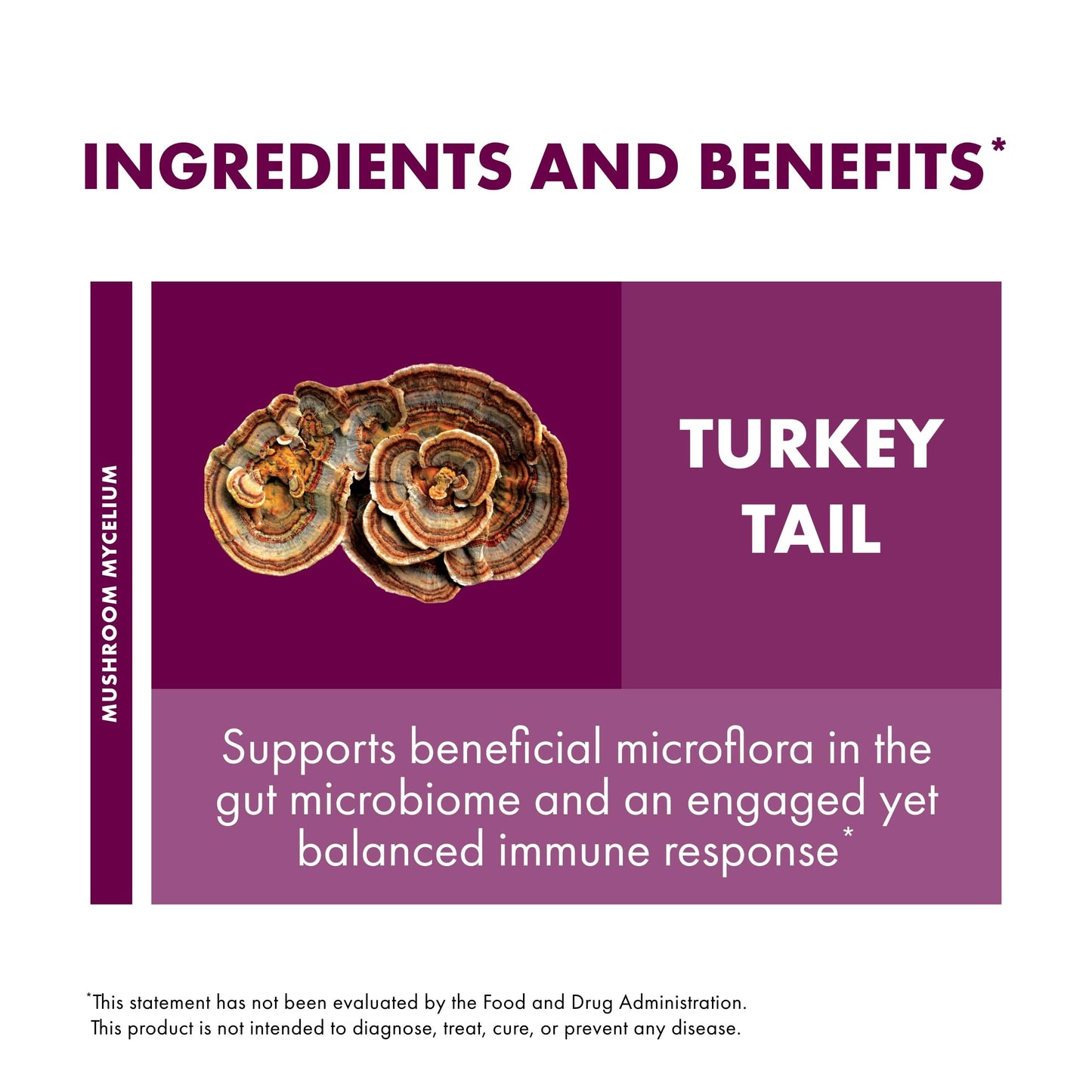 Host Defense Turkey Tail Mushroom Powder – Digestive Health and Immune Support (7 oz)