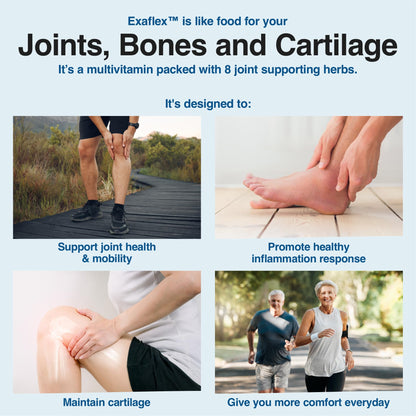 N-Labs ExaFlex Glucosamine Chondroitin MSM Capsules | Joint Support – Made in USA