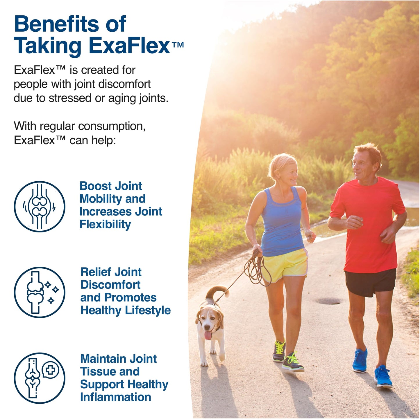 N-Labs ExaFlex Glucosamine Chondroitin MSM Capsules | Joint Support – Made in USA