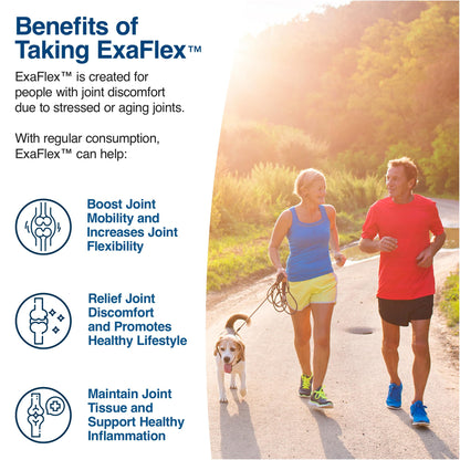 N-Labs ExaFlex Glucosamine Chondroitin MSM Capsules | Joint Support – Made in USA