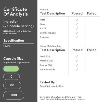 NAD+ Anti Aging & Cell Regeneration | 500mg of 95% Pure NAD Plus Per Serving, 30 Day Supply | Similar to Nicotinamide Riboside | Third Party Tested, Vegan Safe, Non-GMO