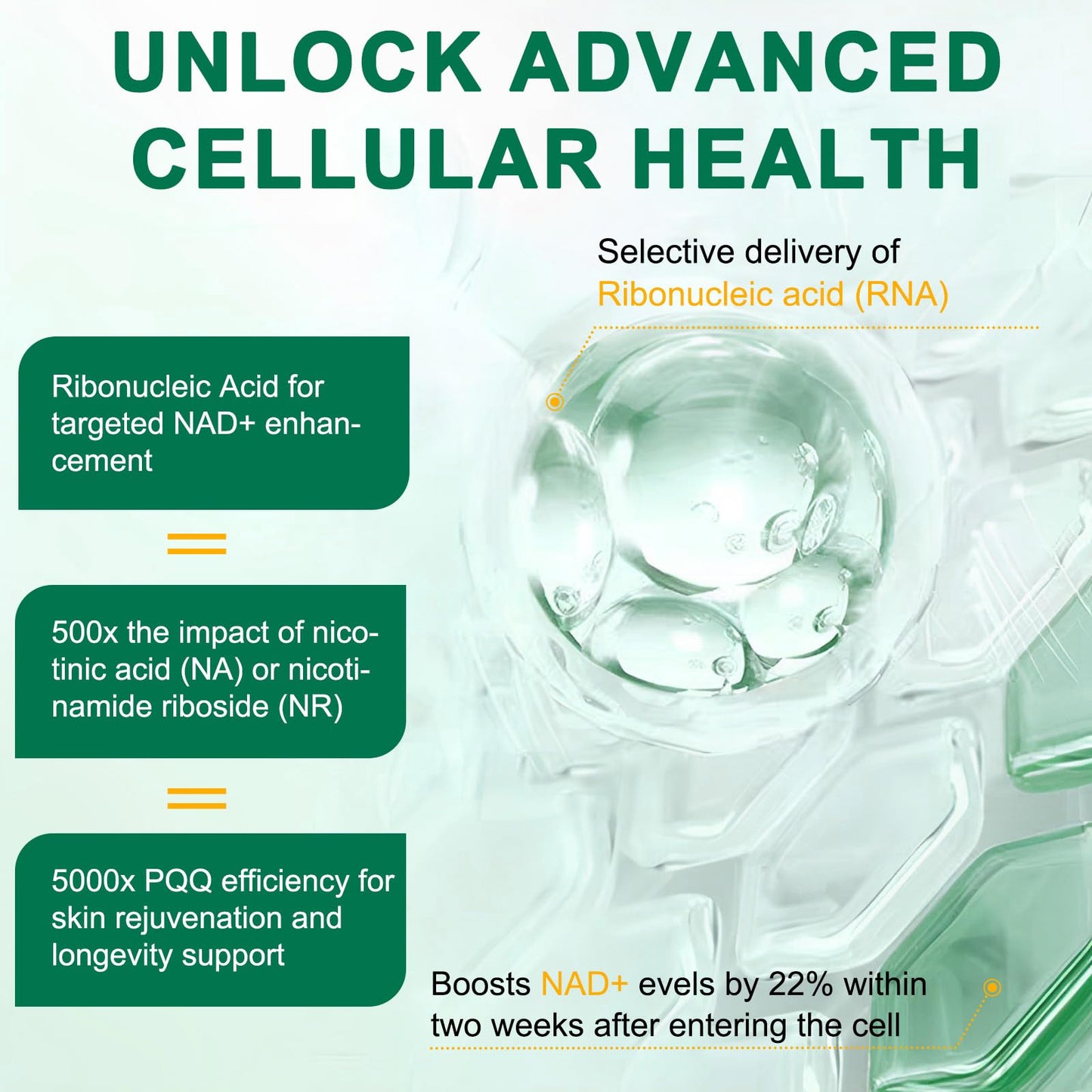 NAD+ Supplement 120 Capsules – Liposomal NR, Resveratrol & Quercetin | Anti-Aging & Cellular Regeneration