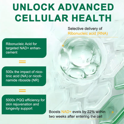 NAD+ Supplement 120 Capsules – Liposomal NR, Resveratrol & Quercetin | Anti-Aging & Cellular Regeneration