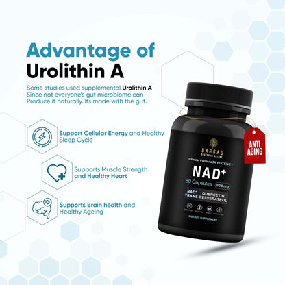 NAD+ Anti-Aging Supplement | NMN Alternative with Resveratrol & Quercetin | 60 Count