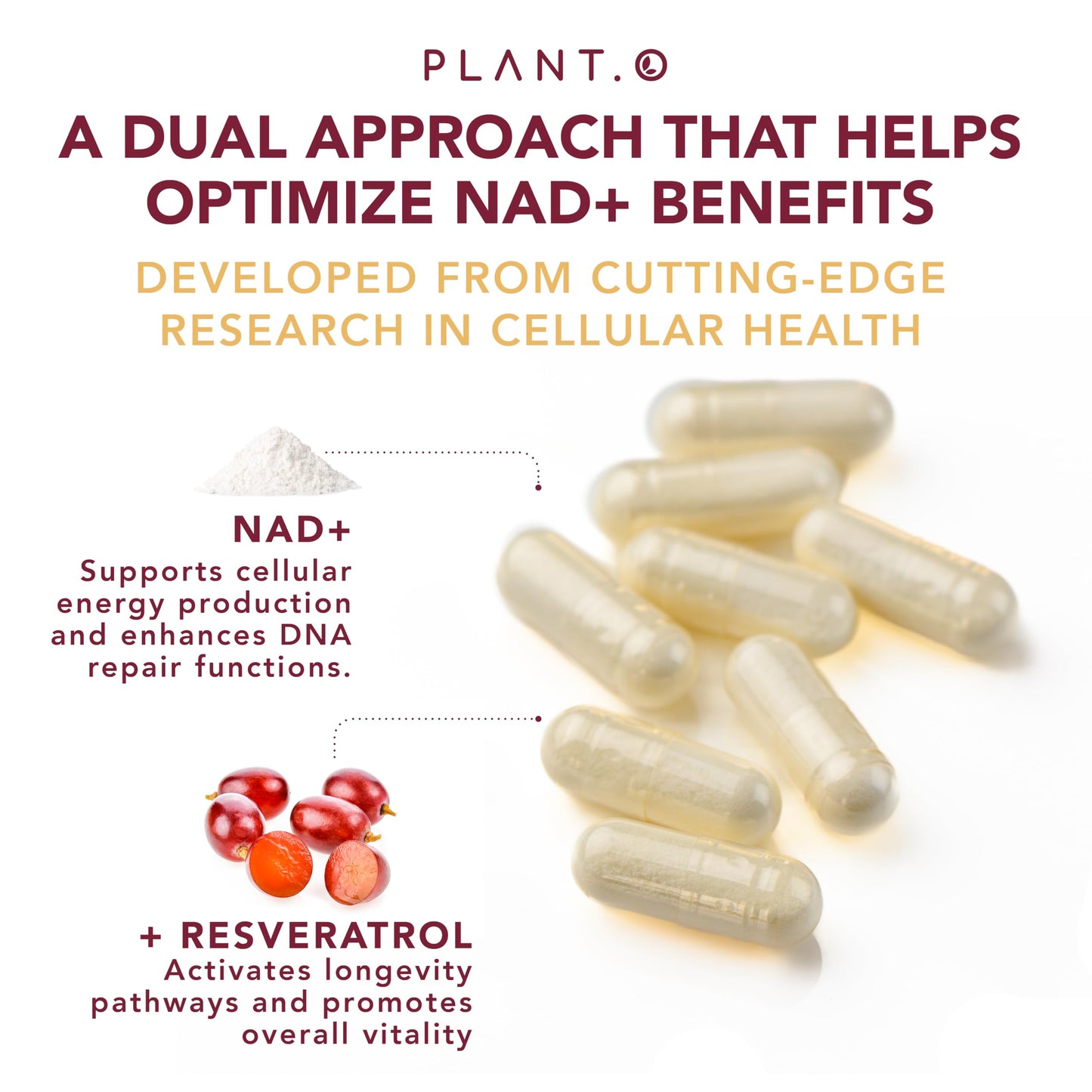 NAD Supplement High Purity (500mg of 95% Pure NAD Plus) with Resveratrol - NMN and Nicotinamide Riboside Alternative for Energy, Anti-Aging, Cell Regeneration, Focus – 60 Pills
