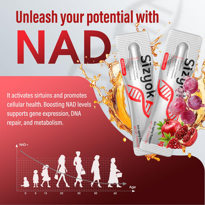NAD+ 1000mg Liquid – High Absorption NAD+ with Trans-Resveratrol, Collagen & Hyaluronic Acid