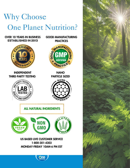 One Planet Nutrition Nano Curcumin Plus – 500 mg Veggie Capsules (240 Servings) | Joint & Immune Support