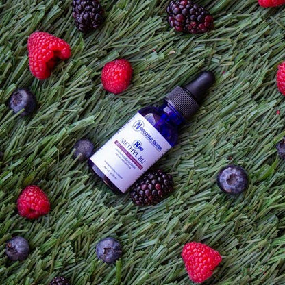 NANO Methyl B-12 1000MCG Methylcobalamin Nano Drops – Instant Absorption Berry Flavor