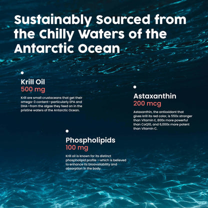 NativePath Krill Oil 500mg + Astaxanthin 200mcg | Phospholipid Omega-3 EPA/DHA, 30 Softgels