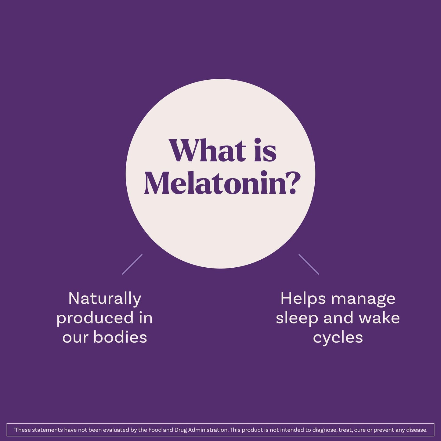 Natrol Liquid Melatonin 1 mg – Berry Sleep Aid, 2 fl oz, 15 Servings