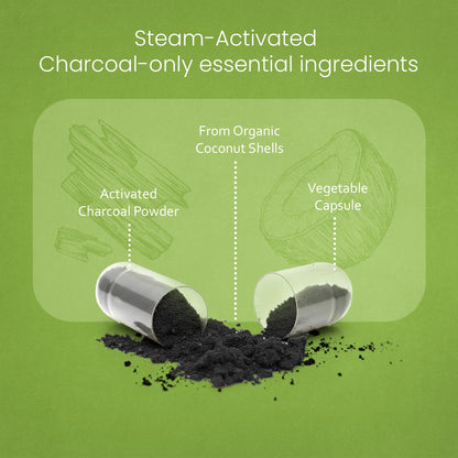 NaturaLife Labs Activated Charcoal 1200 mg – 100 Veg Capsules | Non-GMO, Gluten-Free, Vegan