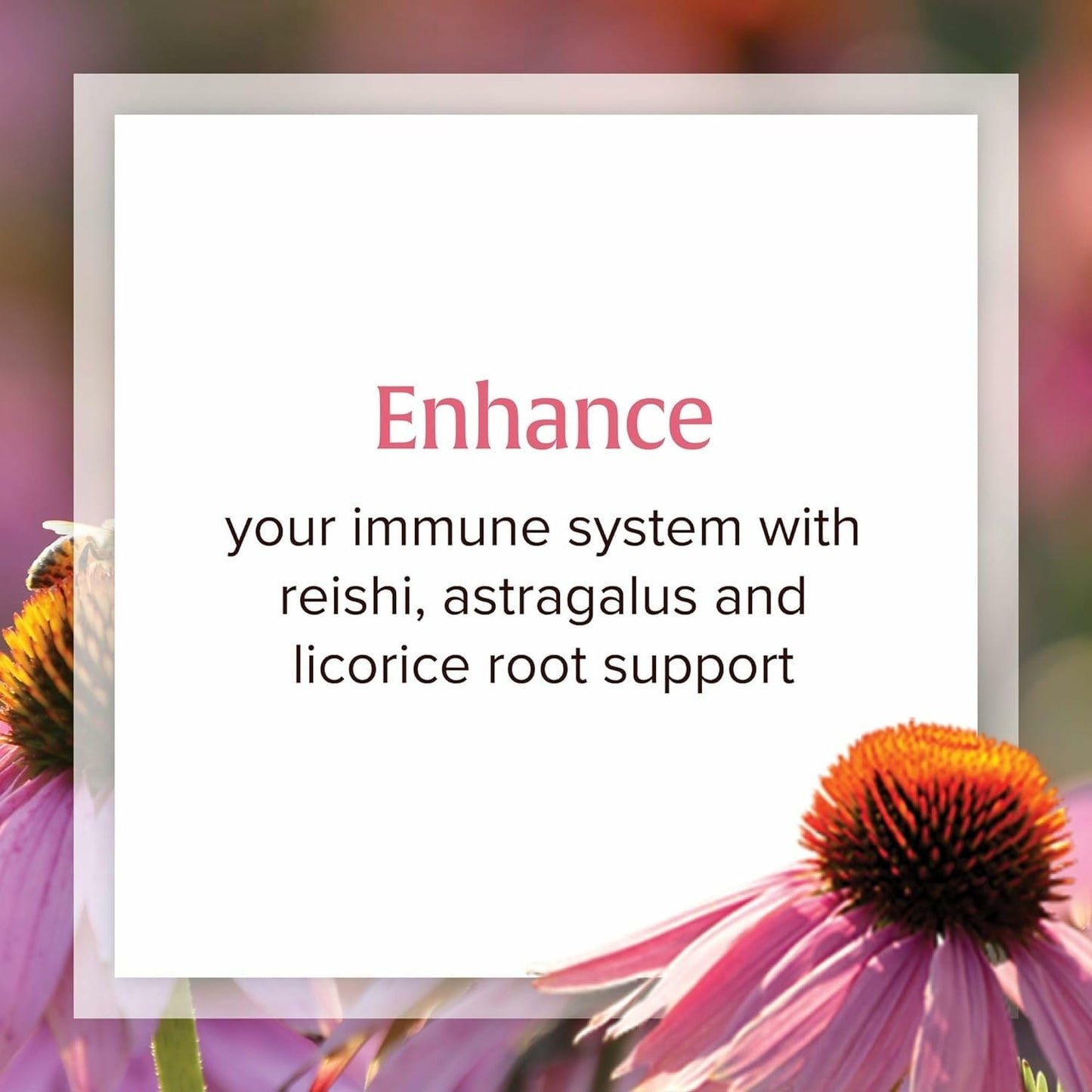Natural Factors Anti-V Formula – Immune Support Supplement with Reishi & Licorice Root – 120 Softgels