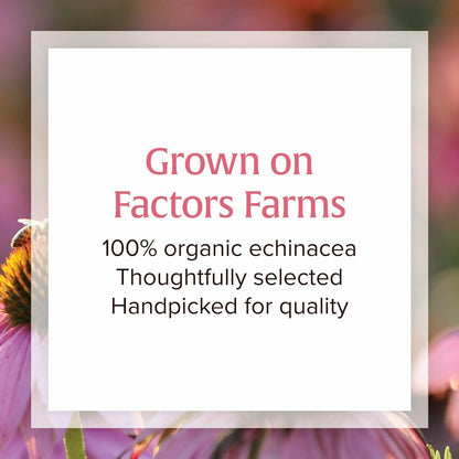 Natural Factors Anti-V Liquid Formula Echinacea Supplement for Immune & Wellness Support – Organic, Non-GMO, 3.4 oz (100 Servings)