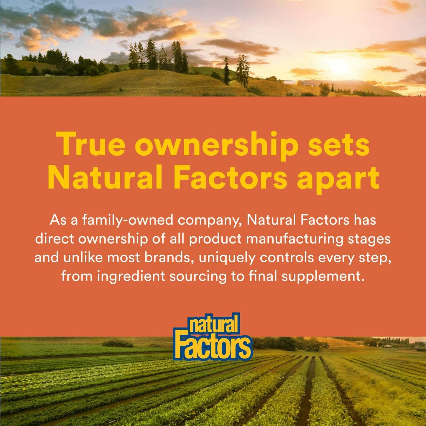 NATURAL FACTORS Astaxanthin Plus 4Mg, 60 CT | Eye Health & Immunity