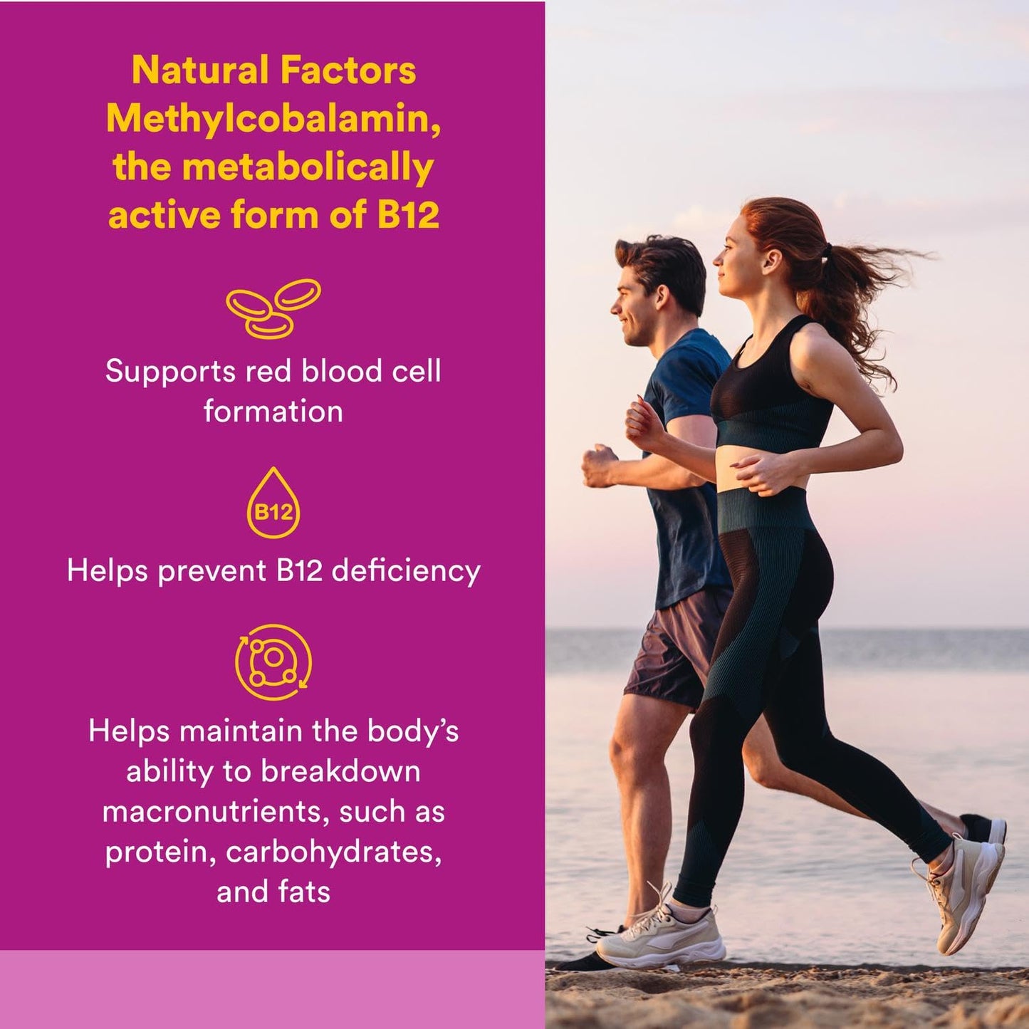 Natural Factors Vitamin B12 Methylcobalamin 1,000 mcg – Quick-Dissolving Chewables