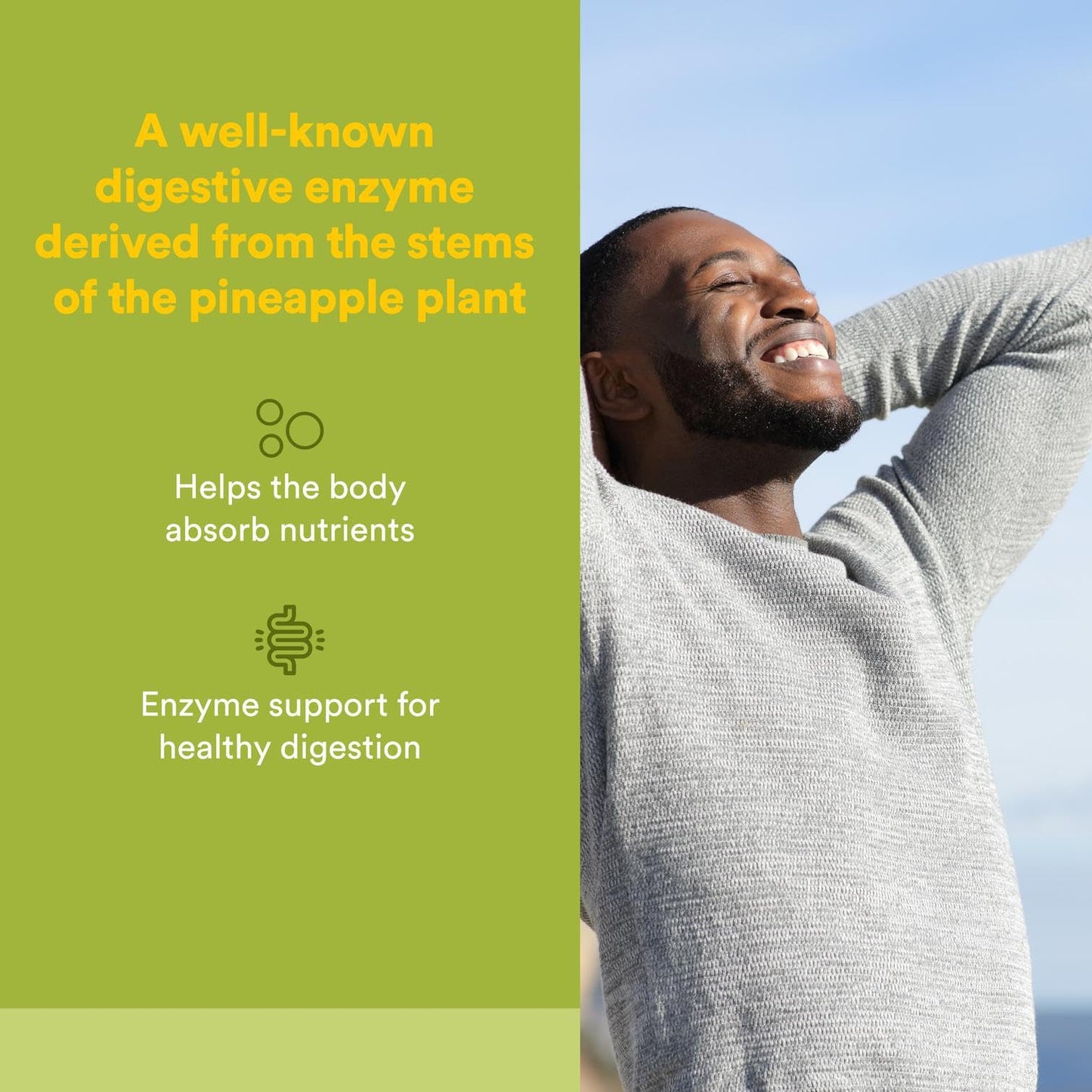 Natural Factors Bromelain 500 mg – Enzyme Support for Digestive Health, 180 Capsules