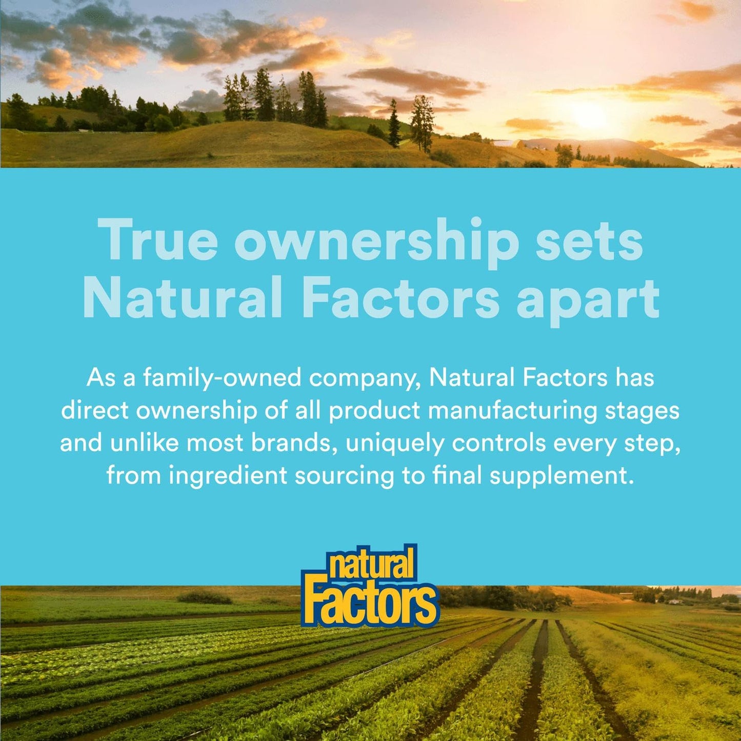 Natural Factors Glutathione LipoMicel Matrix 300 mg | Higher Absorption