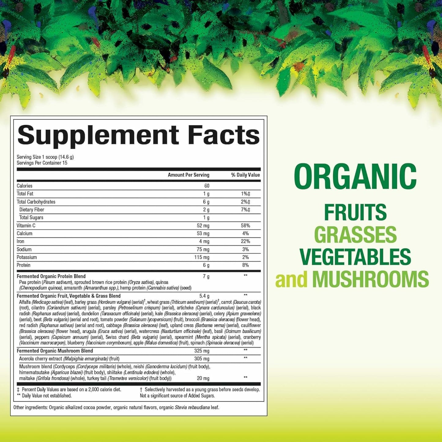 Natural Factors Organic Greens - Antioxidant Support & Immune Health - Green Drink Mix (Unflavored, 7.7 oz)