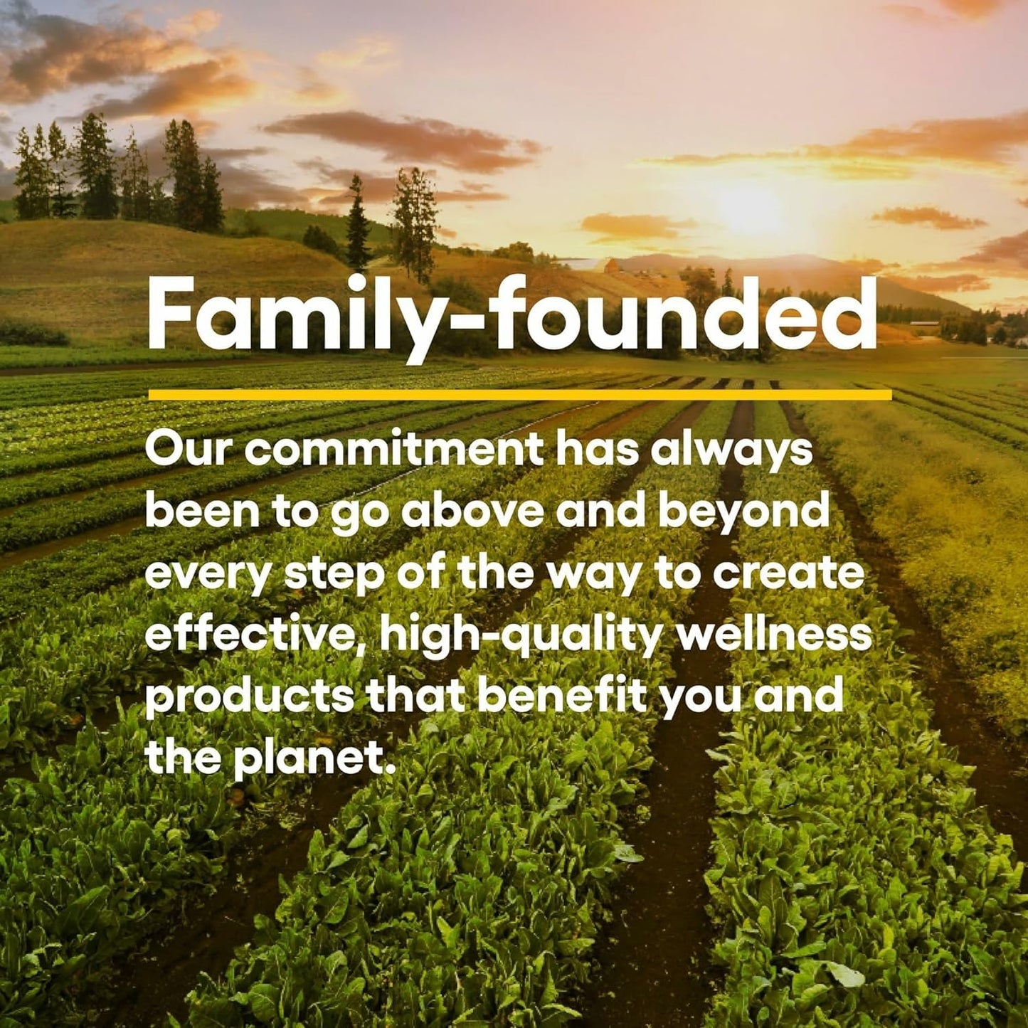 Natural Factors Quercetin LipoMicel Matrix – Immune & Capillary Health