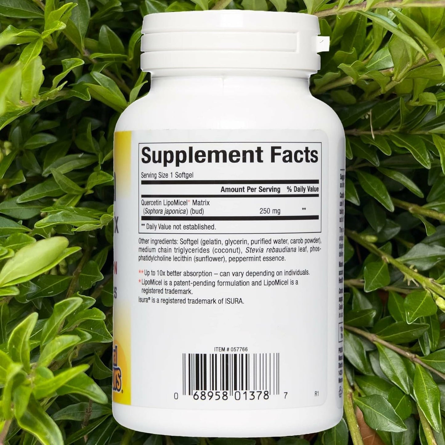 Natural Factors Quercetin LipoMicel Matrix Gel - 60 Count