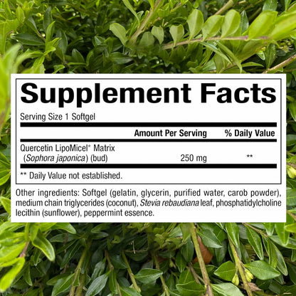 Natural Factors Quercetin Lipomicel Matrix — Immune & Capillary Support