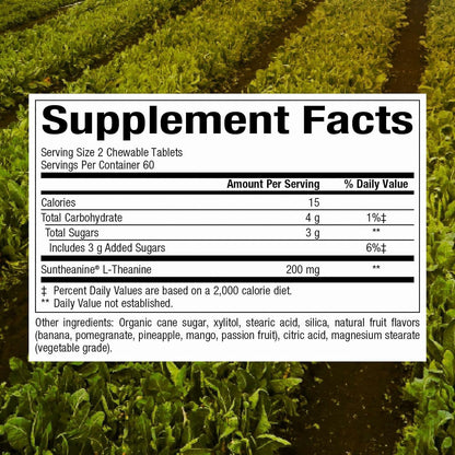 Natural Factors Suntheanine L-Theanine 100 mg – Calm Outlook & Sleep Support | 120 Chewable Tablets (60 Servings)