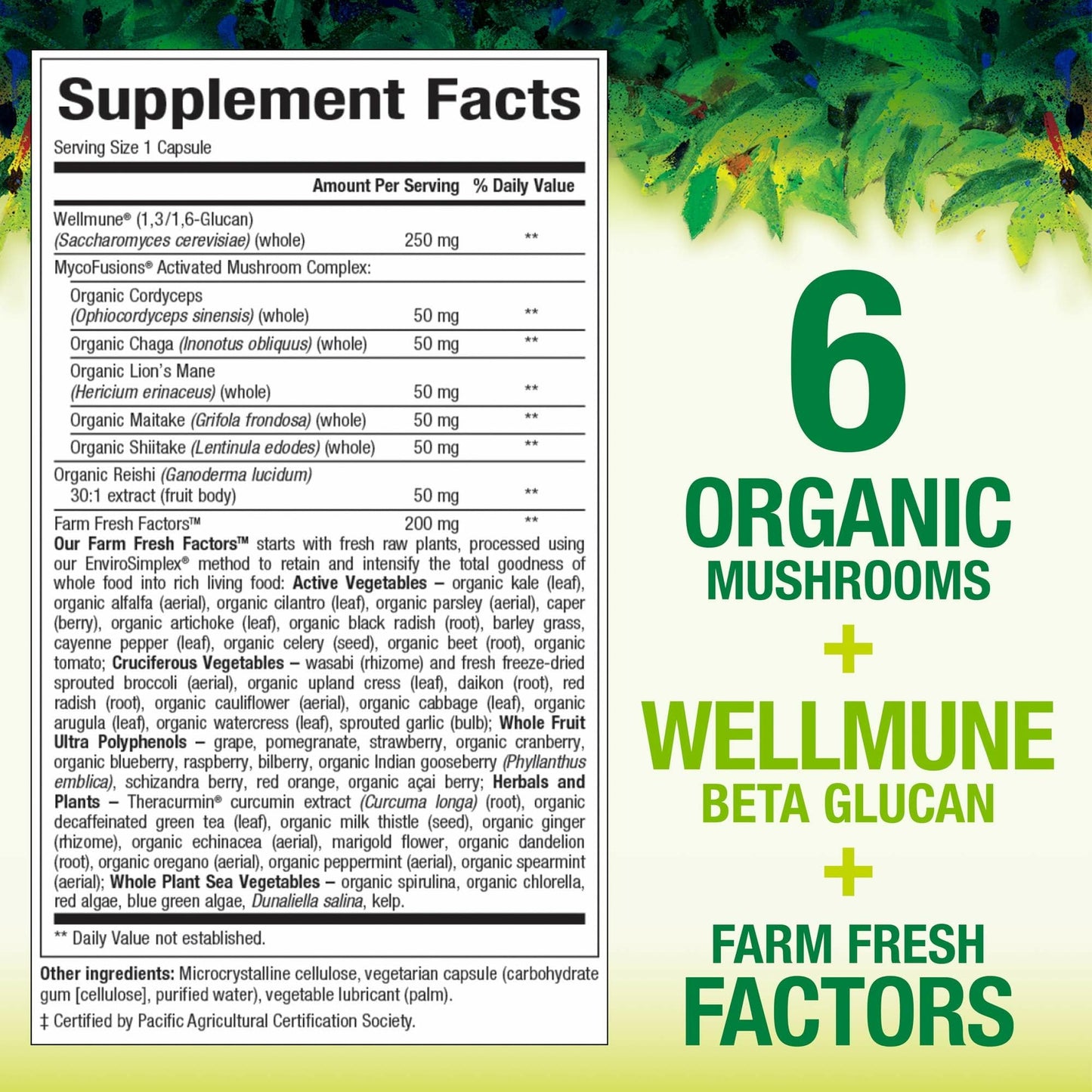 Whole Earth & Sea Super Mushroom by Natural Factors - Vegan Whole Food Supplement, 60 Capsules