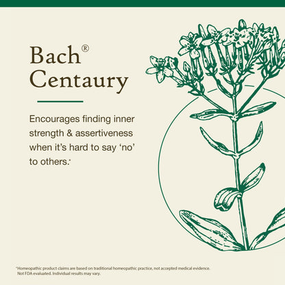 Centaury (Non-Alcohol Formula) | Bach Original Flower Remedies – Be Assertive | 10mL Dropper