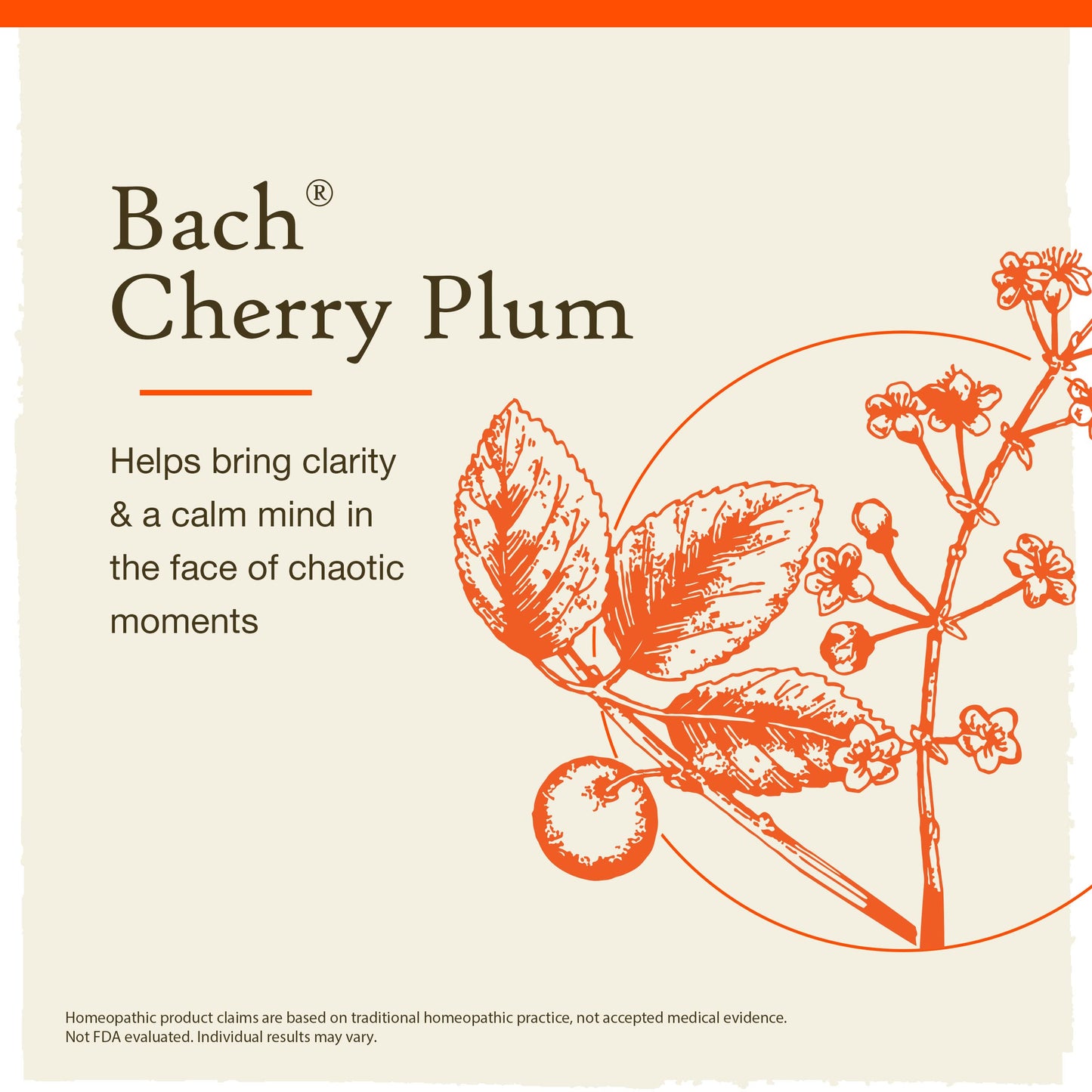 Bach Cherry Plum Original Flower Remedy – Be in Control, 20mL Dropper, Vegan