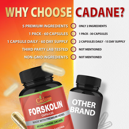 Forskolin Supplements Capsules with Turmeric Curcumin, Arjuna, Garcinia Cambogia, Green Tea – 60 Capsules