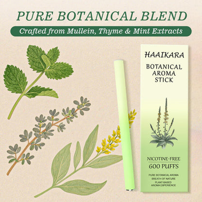 Natural Mullein Herbal Diffuser – Mint & Thyme, Nicotine-Free