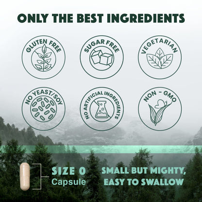 Natural Rhythm Triple Calm Magnesium 150 mg – 120 Capsules | Glycinate, Malate & Taurate Complex for Rest and Relaxation