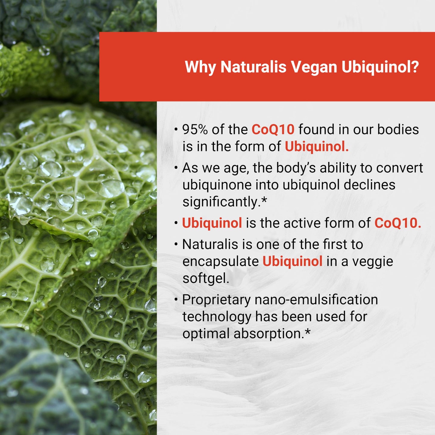Naturalis Ubiquinol 100mg CoQ-10 Emulsified in MCT Oil – 120 Softgels | Gluten Free, Non-GMO & Soy-Free | Cardiovascular Wellness