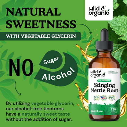 Wild & Organic Stinging Nettle Tincture – Vegan, Alcohol-Free (4 fl oz)
