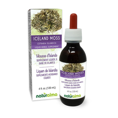 Naturalma Iceland Moss Tincture 4 oz | Alcohol-Free, Vegan | Cetraria islandica