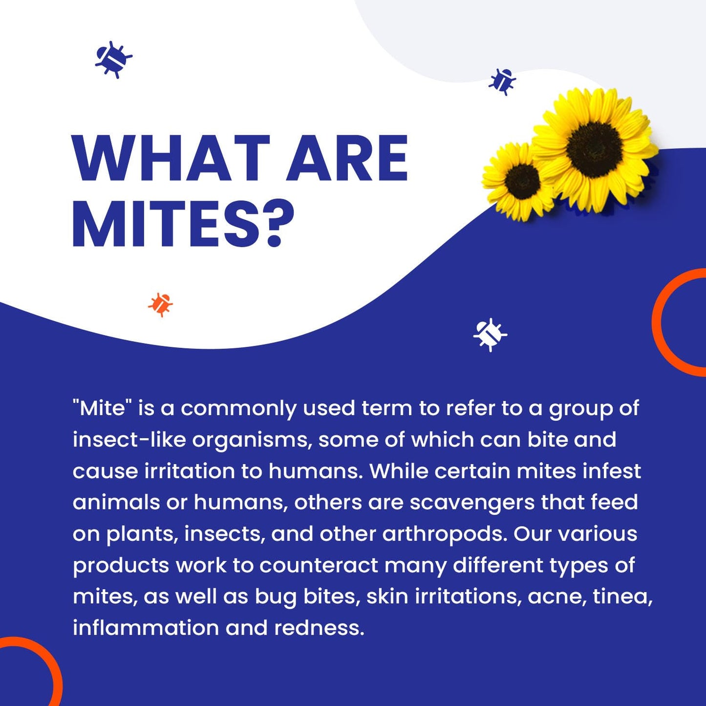 Naturasil Mite-B-Gone Mite Treatment Lotion & Soap – Natural Itch Relief for Acne & Bug Bites
