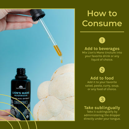 Naturealm Lion's Mane Mushroom Liquid Tincture – Focus, Memory & Brain Health | Vegan, Non-GMO