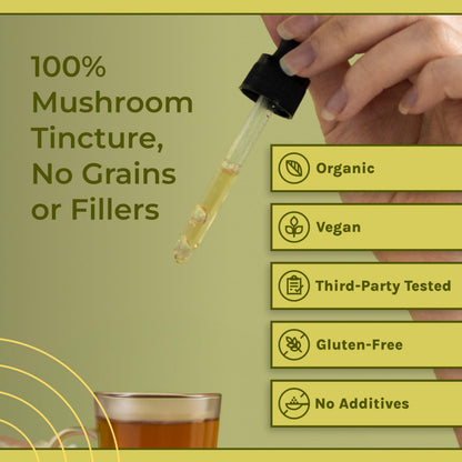 Naturealm Lion's Mane Mushroom Liquid Tincture – Focus, Memory & Brain Health | Vegan, Non-GMO