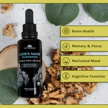 Naturealm Lion's Mane Mushroom Liquid Tincture – Focus, Memory & Brain Health | Vegan, Non-GMO