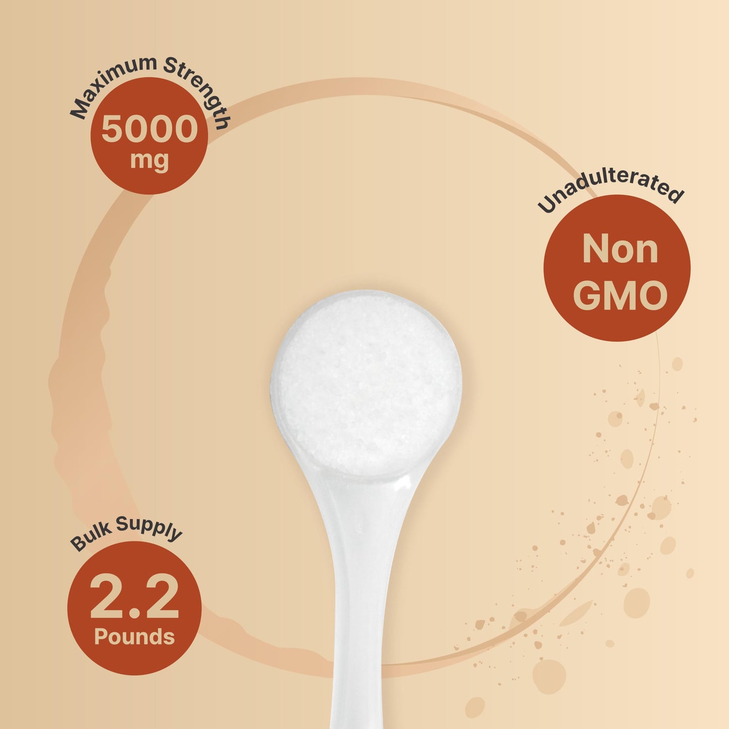 NatureBell Creatine Monohydrate Powder 1,000g | 200 Servings | Micronized & Unflavored