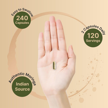 NatureBell Pure Moringa Capsules | Organic Moringa Powder, 240 Capsules